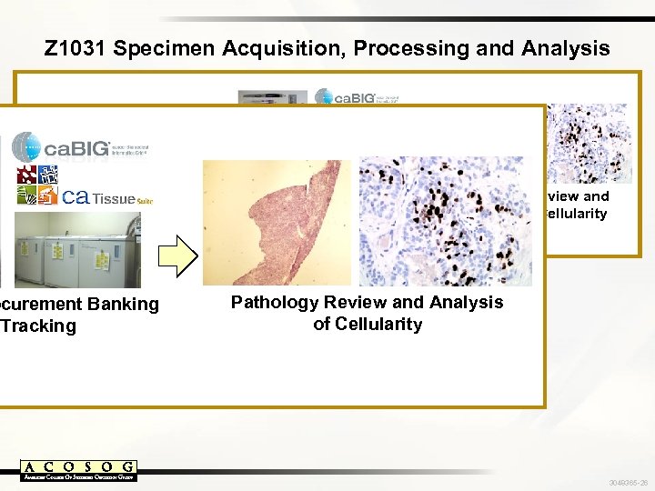 Z 1031 Specimen Acquisition, Processing and Analysis Genome Consent ocurement Banking Tracking Specimen Procurement