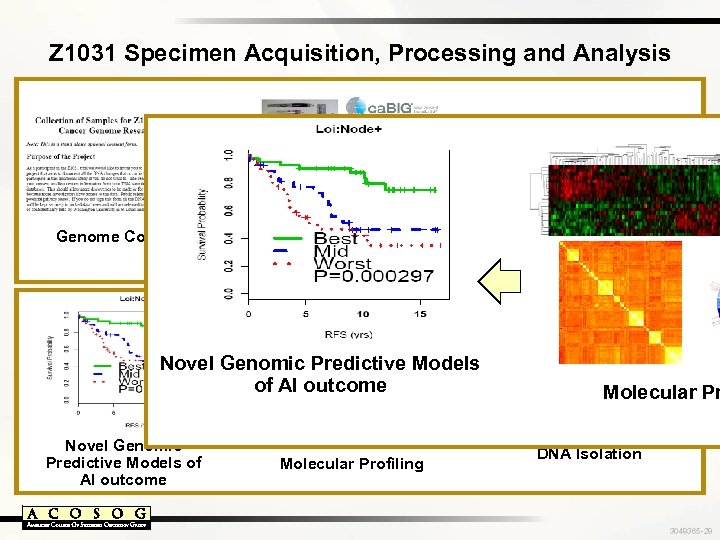 Z 1031 Specimen Acquisition, Processing and Analysis Genome Consent Specimen Procurement Banking and Tracking