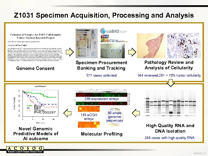 Z 1031 Specimen Acquisition, Processing and Analysis Pathology Review and Analysis of Cellularity 377