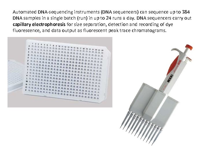 Automated DNA-sequencing instruments (DNA sequencers) can sequence up to 384 DNA samples in a