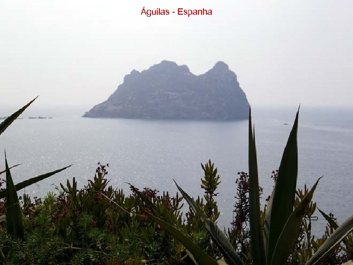 Águilas - Espanha 