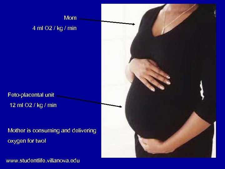 Mom 4 ml O 2 / kg / min Feto-placental unit 12 ml O