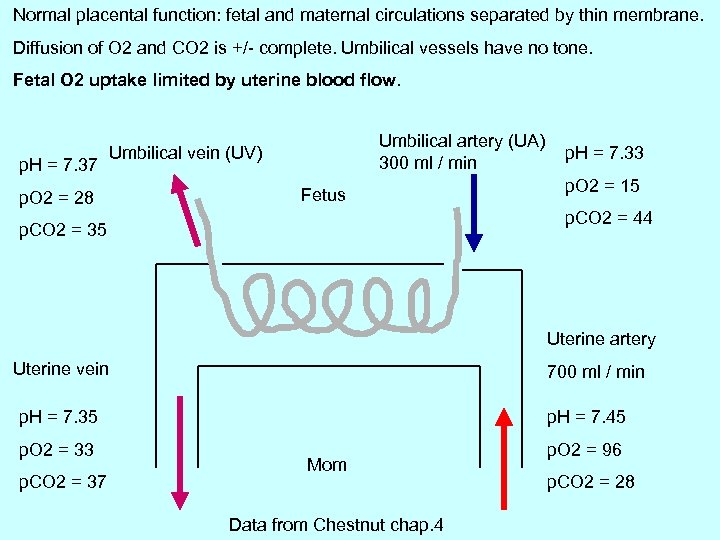 Normal placental function: fetal and maternal circulations separated by thin membrane. ) Diffusion of