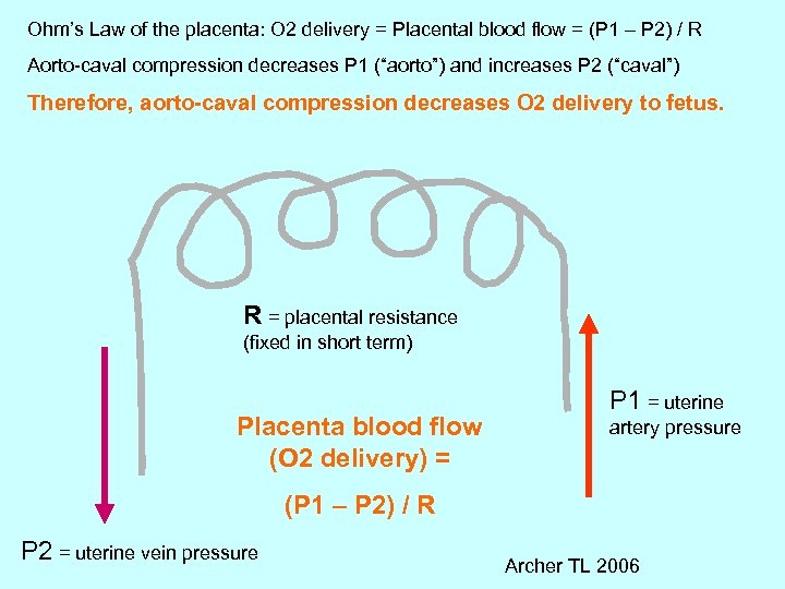 Ohm’s Law of the placenta: O 2 delivery = Placental blood flow = (P