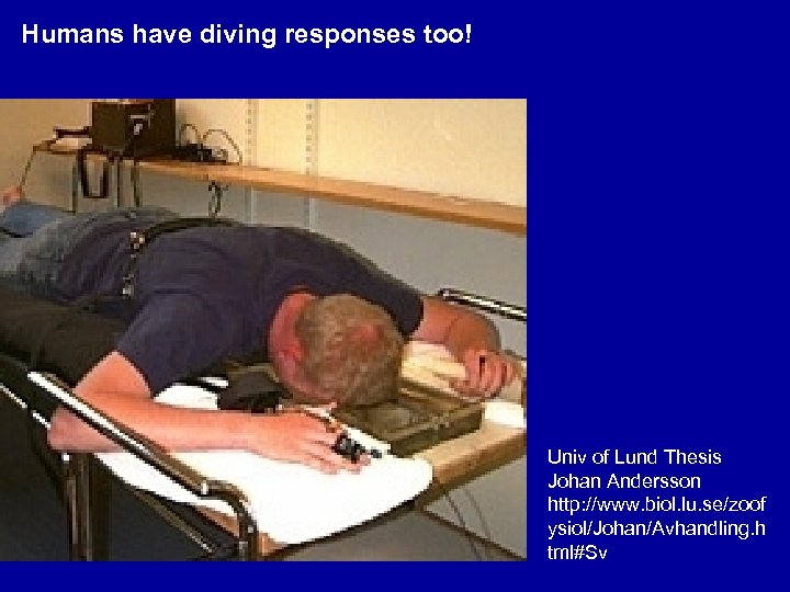 Humans have diving responses too! Univ of Lund Thesis Johan Andersson http: //www. biol.