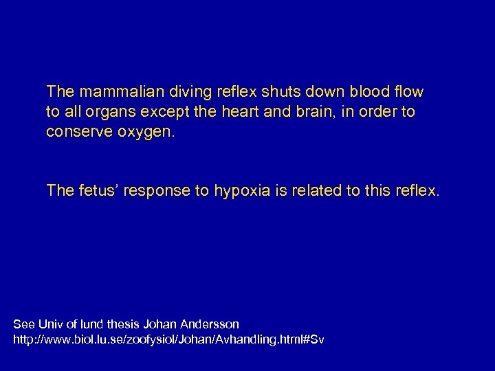 The mammalian diving reflex shuts down blood flow to all organs except the heart