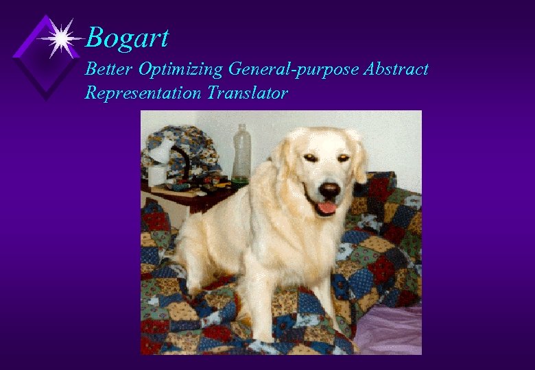 Bogart Better Optimizing General-purpose Abstract Representation Translator 
