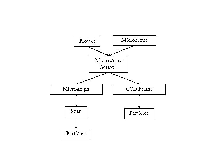 Project Microscope Microscopy Session Micrograph CCD Frame Scan Particles 