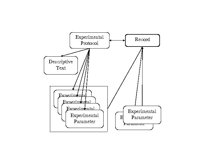 Experimental Protocol Record Descriptive Text Experimental Parameter Experimental Parameter 