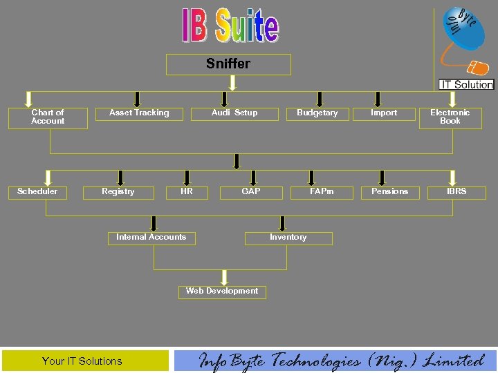 Sniffer Chart of Account Scheduler Asset Tracking Registry Audi Setup HR Budgetary GAP Internal