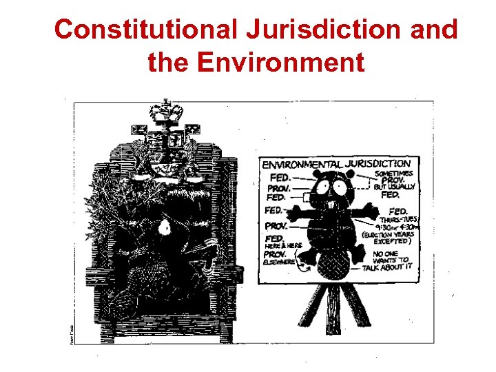 Constitutional Jurisdiction and the Environment 