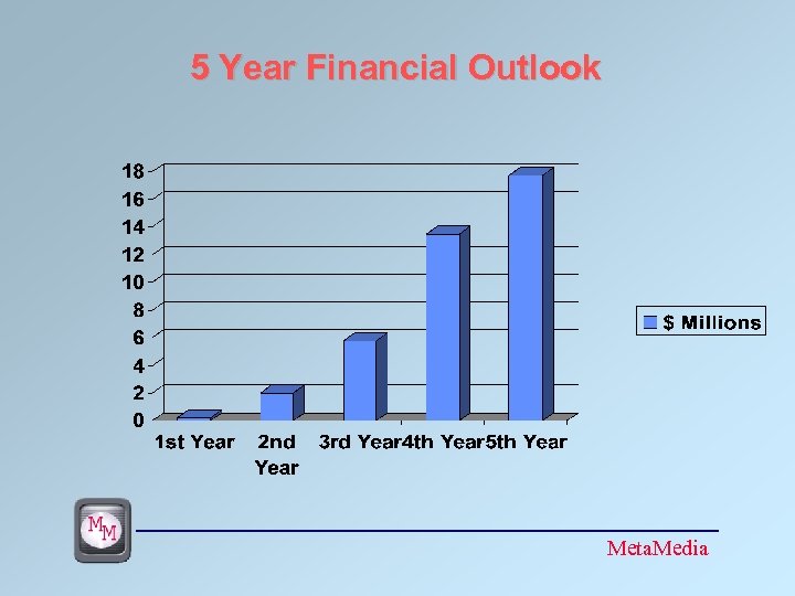 5 Year Financial Outlook Meta. Media 