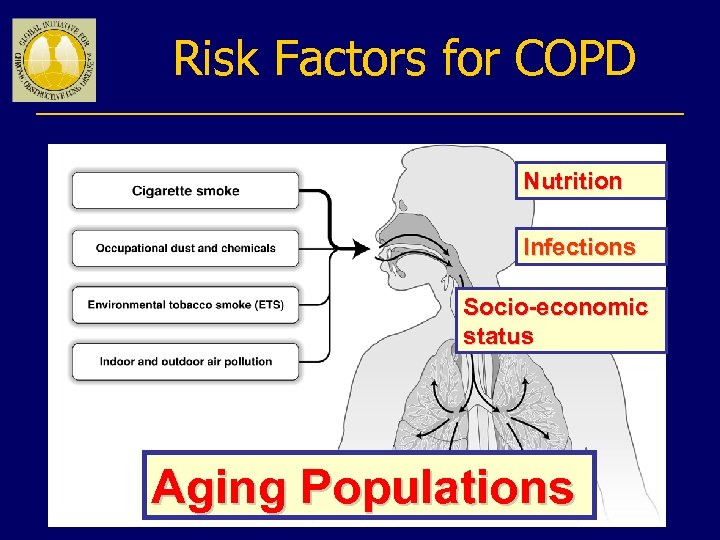 Risk Factors for COPD Nutrition Infections Socio-economic status Aging Populations 