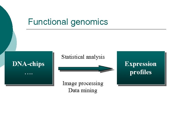 Functional genomics Statistical analysis DNA-chips …. Expression profiles Image processing Data mining 