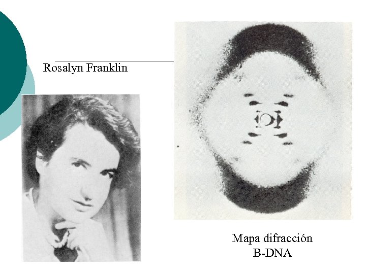 Rosalyn Franklin Mapa difracción B-DNA 