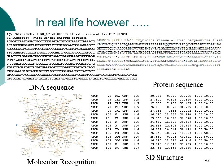 In real life however …. . >gi|261252063|ref|NZ_ACZV 01000005. 1| Vibrio orientalis CIP 102891 VIA.