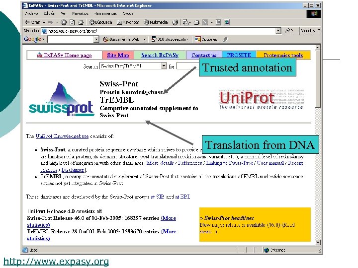 Trusted annotation Translation from DNA http: //www. expasy. org 