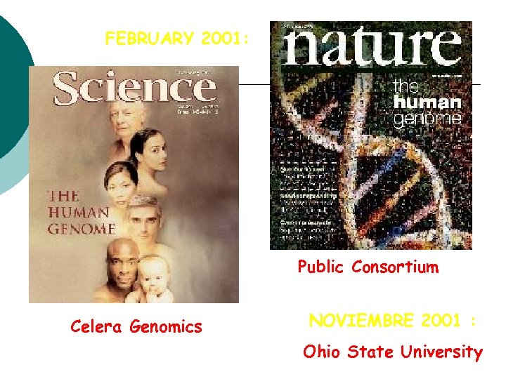 FEBRUARY 2001: Public Consortium Celera Genomics NOVIEMBRE 2001 : Ohio State University 