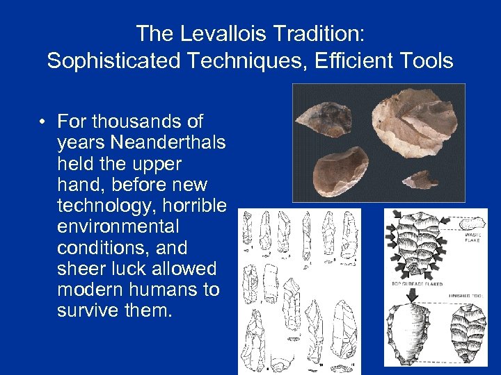 The Levallois Tradition: Sophisticated Techniques, Efficient Tools • For thousands of years Neanderthals held
