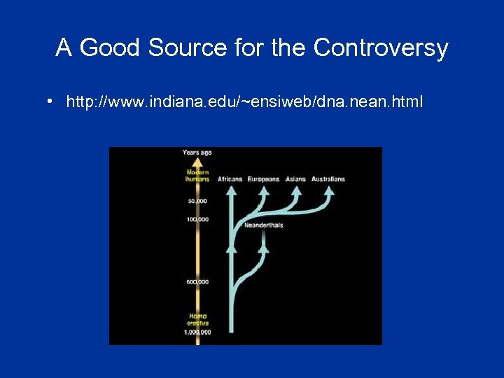 A Good Source for the Controversy • http: //www. indiana. edu/~ensiweb/dna. nean. html 
