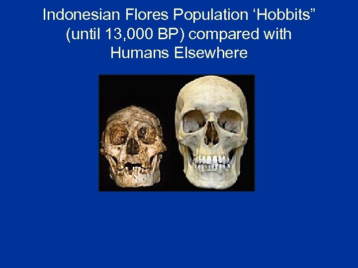 Indonesian Flores Population ‘Hobbits” (until 13, 000 BP) compared with Humans Elsewhere 