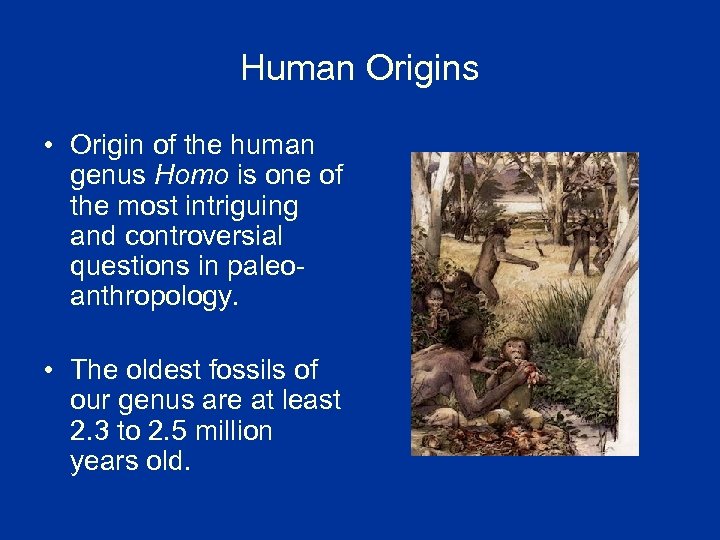 Human Origins • Origin of the human genus Homo is one of the most