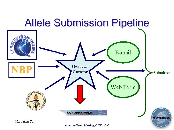 Allele Submission Pipeline E-mail NBP Geneace Curator Submitter Web Form Mary Ann Tuli Advisory
