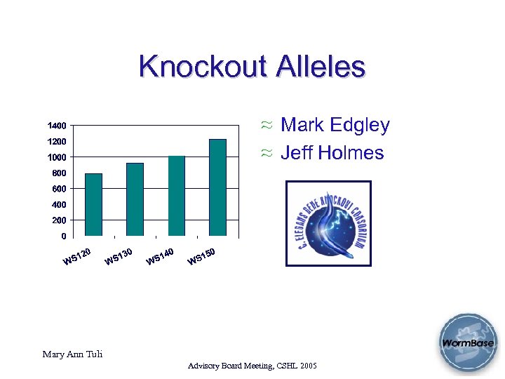 Knockout Alleles ≈ Mark Edgley ≈ Jeff Holmes Mary Ann Tuli Advisory Board Meeting,