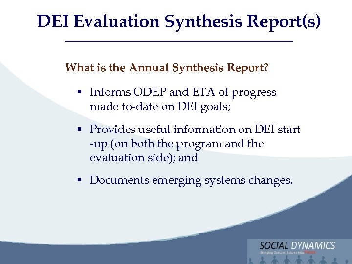 DEI Evaluation Synthesis Report(s) Social Dynamics, LLC Bringing Complex issues into Focus What is