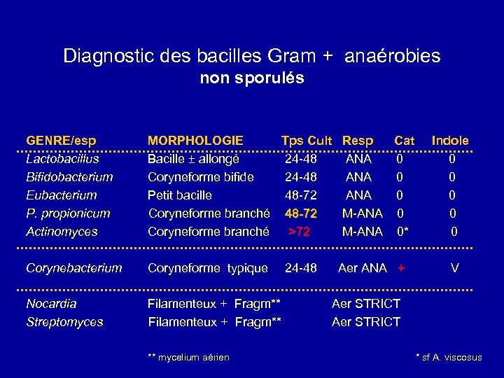 Diagnostic des bacilles Gram + anaérobies non sporulés GENRE/esp MORPHOLOGIE Lactobacillus Bacille ± allongé