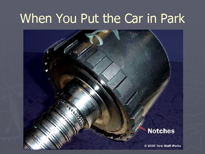 When You Put the Car in Park 