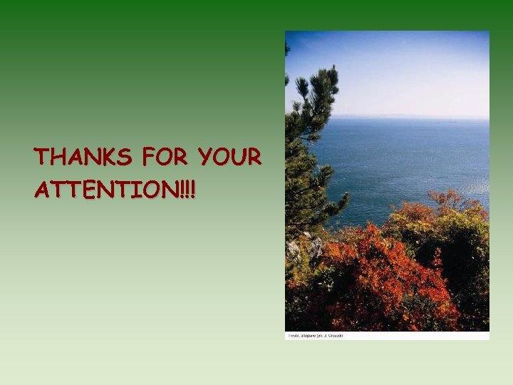 THANKS FOR YOUR ATTENTION!!! 