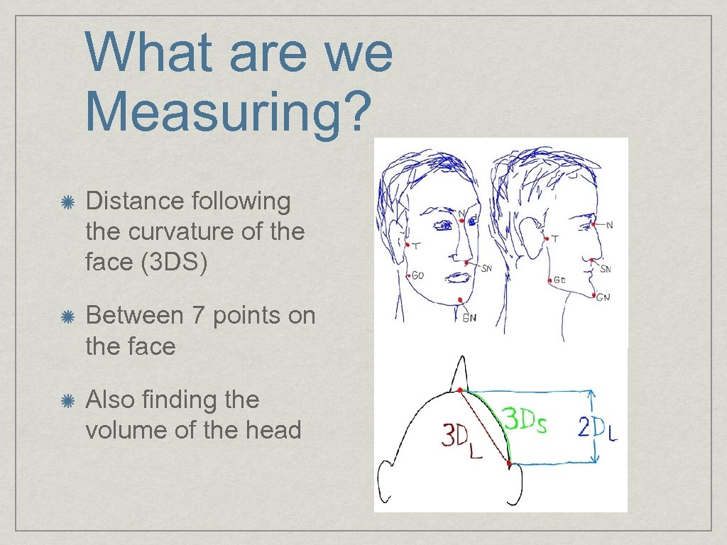 What are we Measuring? Distance following the curvature of the face (3 DS) Between