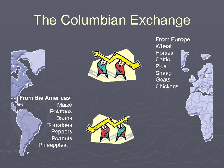The Columbian Exchange From Europe: Wheat Horses Cattle Pigs Sheep Goats Chickens From the