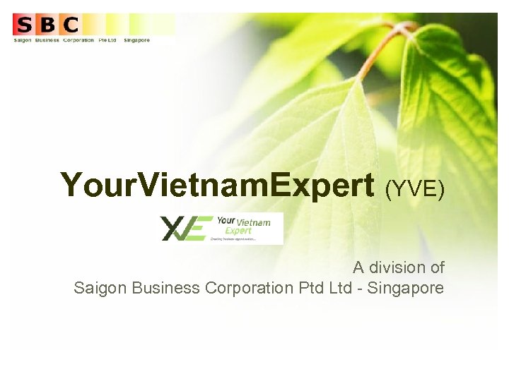 Your. Vietnam. Expert (YVE) A division of Saigon Business Corporation Ptd Ltd - Singapore