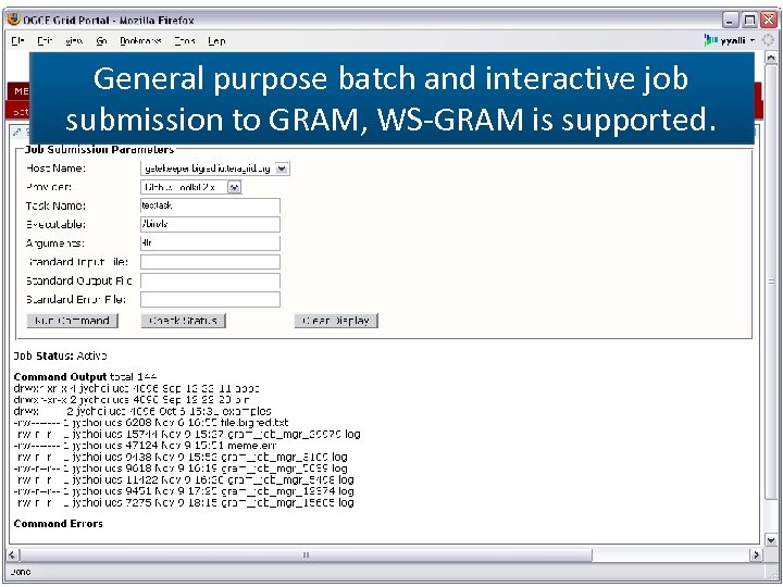 General purpose batch and interactive job submission to GRAM, WS-GRAM is supported. 