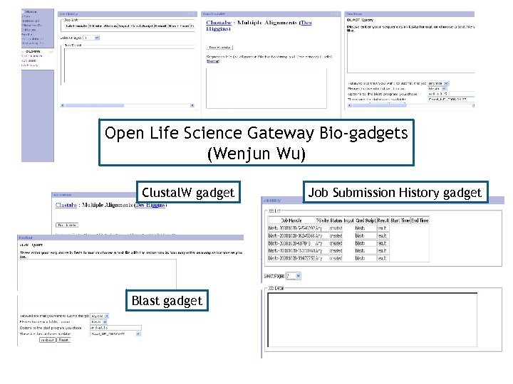 Open Life Science Gateway Bio-gadgets (Wenjun Wu) Clustal. W gadget Blast gadget Job Submission