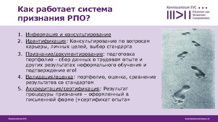 Как работает система признания РПО? 1. Информация и консультирование 2. Идентификация: Консультирование по вопросам