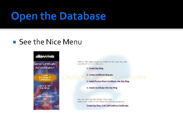 Open the Database See the Nice Menu 
