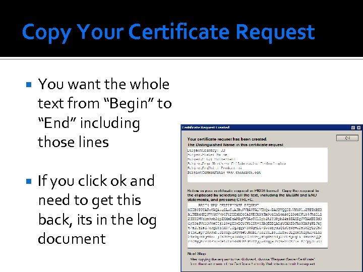 Copy Your Certificate Request You want the whole text from “Begin” to “End” including