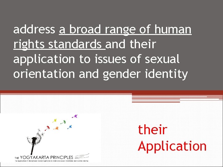 address a broad range of human rights standards and their application to issues of