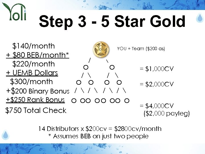 Step 3 - 5 Star Gold $140/month YOU + Team ($200 as) + $80