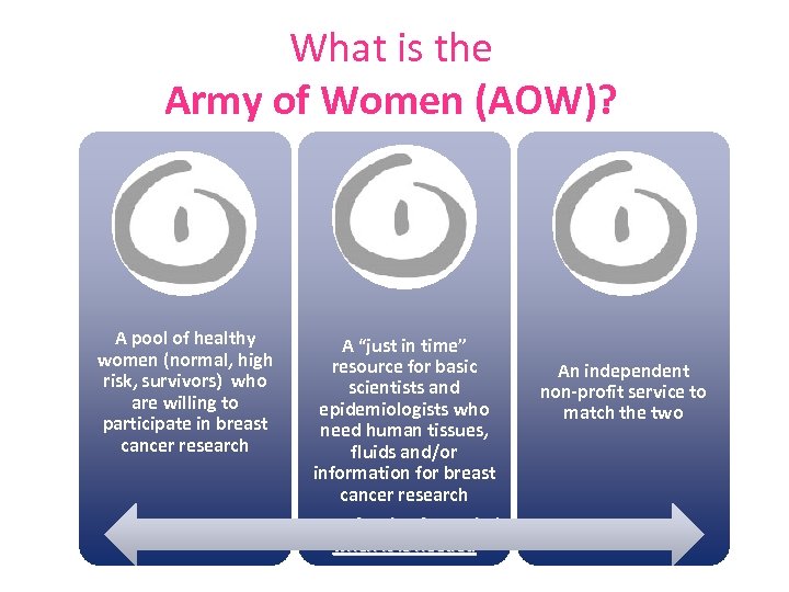 What is the Army of Women (AOW)? A pool of healthy women (normal, high
