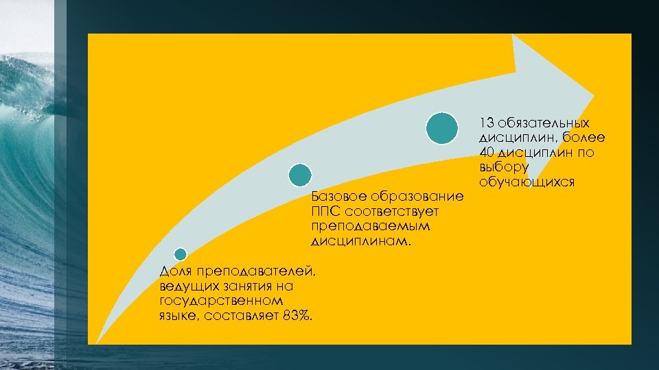 Базовое образование ППС соответствует преподаваемым дисциплинам. Доля преподавателей, ведущих занятия на государственном языке, составляет