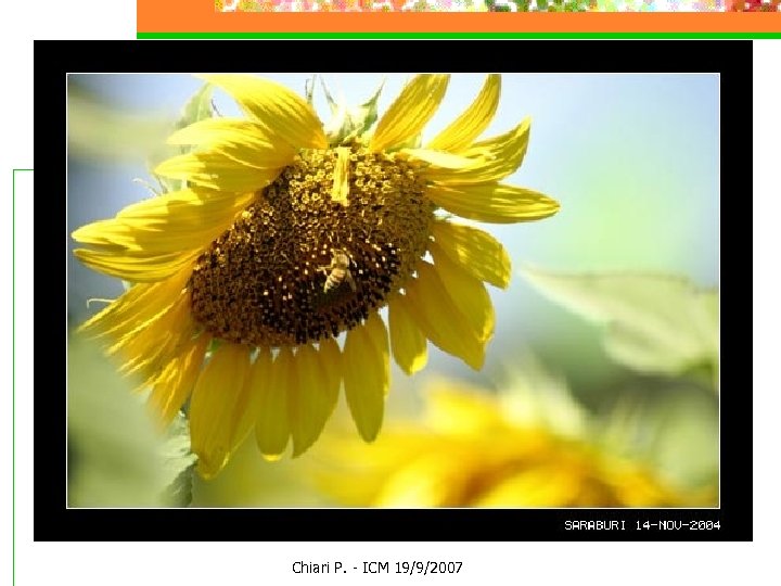 Future developments Chiari P. - ICM 19/9/2007 