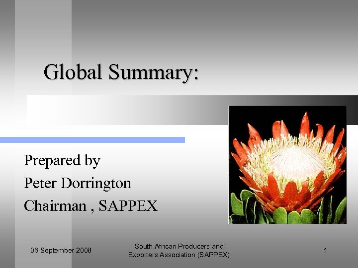 Global Summary: Prepared by Peter Dorrington Chairman , SAPPEX 06 September 2008 South African