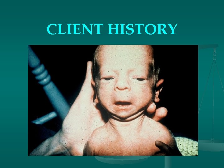 CLIENT HISTORY 