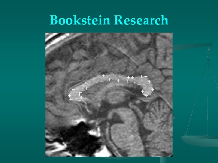 Bookstein Research 