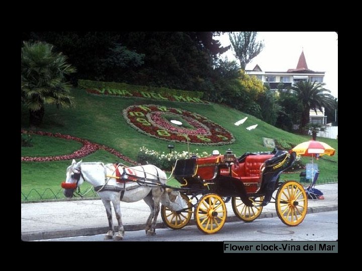 Flower clock-Vina del Mar 