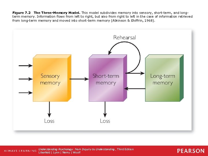 Figure 7. 2 The Three-Memory Model. This model subdivides memory into sensory, short-term, and